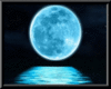 Full Moon (w Triggers)