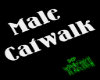 Male Cat Walk