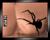 N | Spider chest tattoo