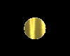 Kawaii Gold Coin