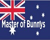 Bunny Licence Plate