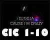 DJ Goja-Cause I`m Crazy