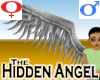 Hidden Angel -Mecha