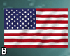 USA Flag