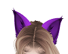 cat ears purple