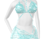 SR~Blue Spring Bikini