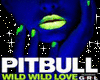 Pitbull - Wild wild love