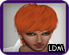 [LDM]Proti Ginger