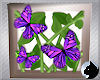 !Butterflies Shadow Box