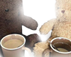 bear friends<3