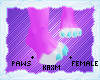 ꨄStacy Pawsꨄ