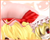 ~R~ Flandre Bonnet