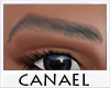 [CNL]Eyebrows gray