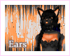 Ocherous Cat Ears