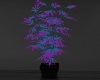 Weed Potted Plant