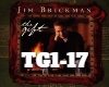 Jim Brickman - the Gift