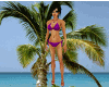 Elite Bikini Purple