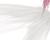 whiteangel♡¸.•*