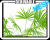 Palm Plant *DQ*