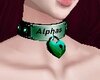 Alphas Collar Custom