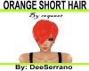 ORANGE SHORT HAIR