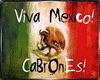 VIVA MEXICO!!!