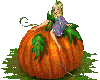 Q_Elf on the Pumpkin