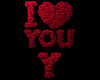 I Love You Y Roses