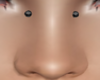 [S] Bridge Piercing
