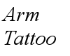 [A&C] arm tattoo stars