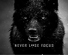 wolf pics and sayings