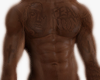 Aled Skin Tats
