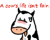 {ANXI} A Cow's Life