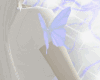 ♥smol friend♥