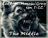 [HA]Zedd/The Middle