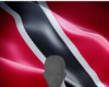 Trinidad Flag🔥