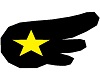 blck wing yellow star