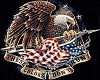 USA   Fly Eagle