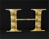 H Letter Black Gold