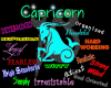(BE) Capricorn sticker
