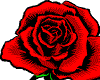 [DS]Rose8