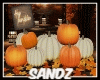 S. Fall Pumpkins Seat