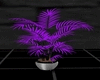 Purple Planter