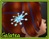 Ǥ|Hairpin Eldora Flower