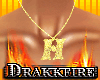 [DF] H gold necklace