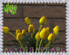 :A: Spring Tulips Yellow