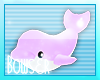 ♫ Seashell Dolphin