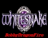 Whitesnake...StageWSOn