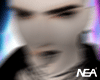 Head Morfid/NS