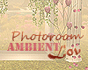 TH|Photoroom_Ambient_Lov